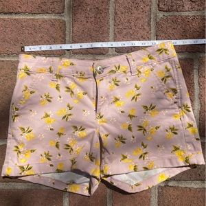 SO Low Rise Favorite Midi shorts size 5